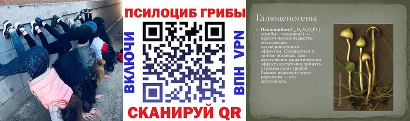 Галлюциногенные грибы Psilocybe  Спас-Деменск 