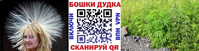 Бошки марихуана OG Kush  Спас-Деменск 